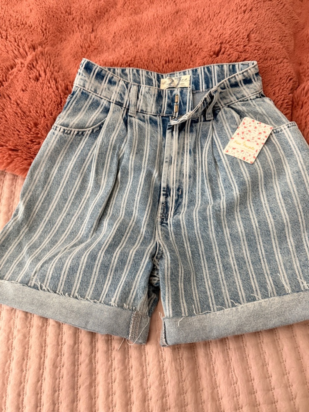 Free People Blue and White Striped Denim Shorts